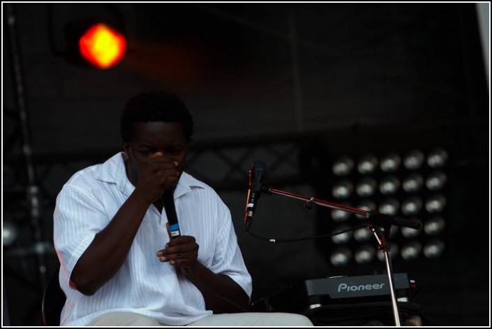 Camille &#8211; Festival des Vieilles Charrues 2008