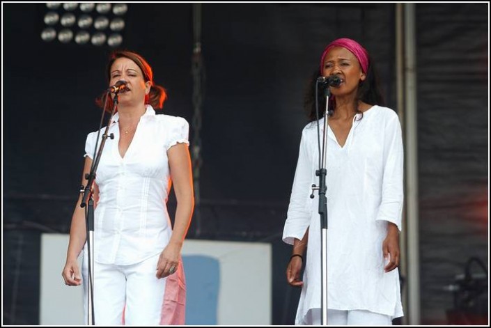 Camille &#8211; Festival des Vieilles Charrues 2008