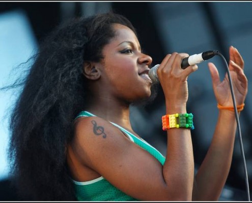 The Go! Team &#8211; Festival des Vieilles Charrues 2008