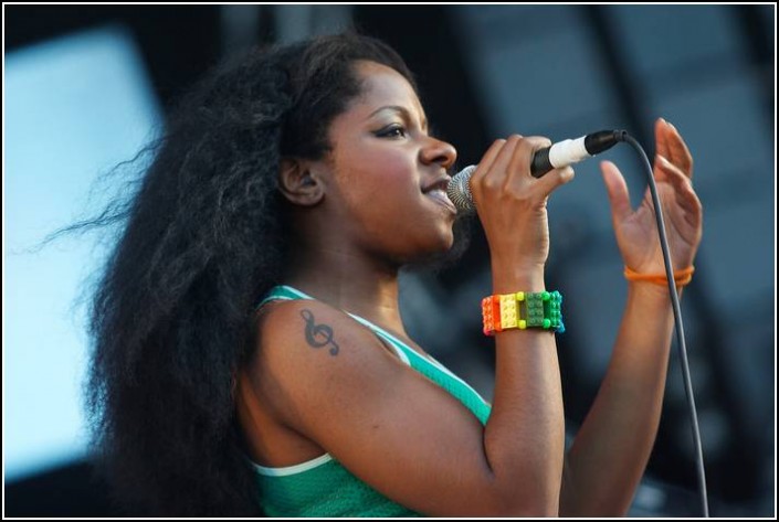 The Go! Team &#8211; Festival des Vieilles Charrues 2008