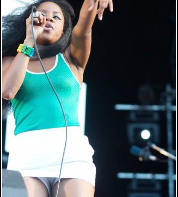 The Go! Team &#8211; Festival des Vieilles Charrues 2008