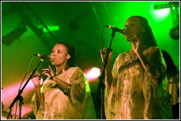 Tiken Jah Fakoly &#8211; Festival du Chien a Plumes 2008