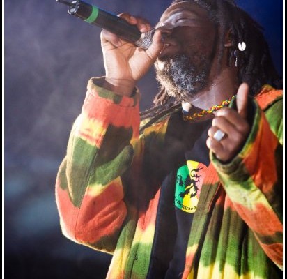 Tiken Jah Fakoly &#8211; Festival du Chien a Plumes 2008