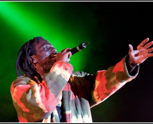 Tiken Jah Fakoly &#8211; Festival du Chien a Plumes 2008