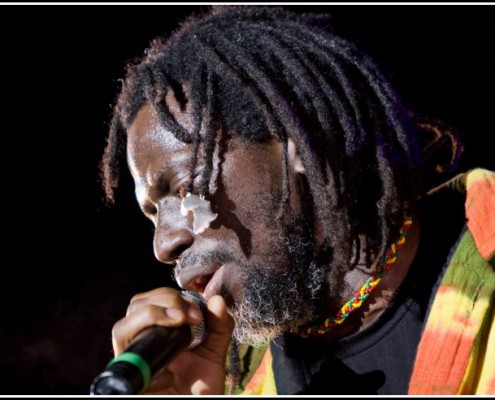 Tiken Jah Fakoly &#8211; Festival du Chien a Plumes 2008