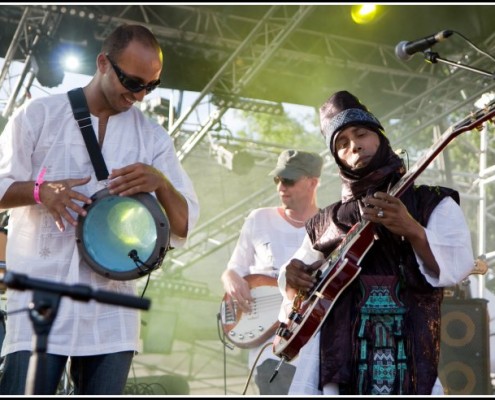 Toumast &#8211; Festival du Chien a Plumes 2008