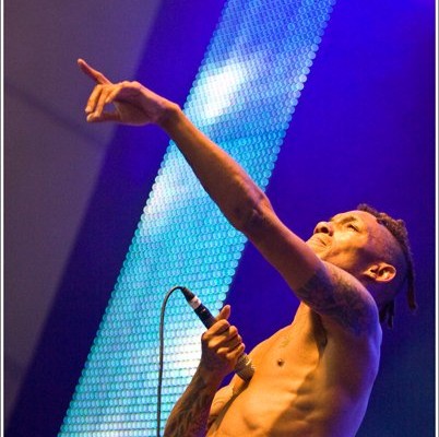 Tricky &#8211; Eurockeennes 2009