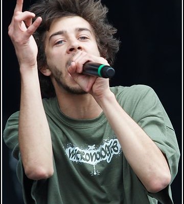 Micronologie &#8211; Festival des Vieilles Charrues 2009