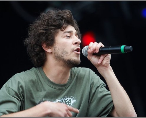 Micronologie &#8211; Festival des Vieilles Charrues 2009