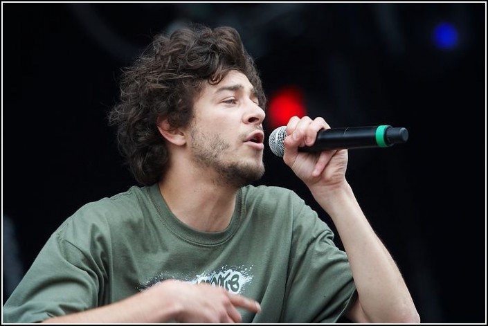 Micronologie &#8211; Festival des Vieilles Charrues 2009