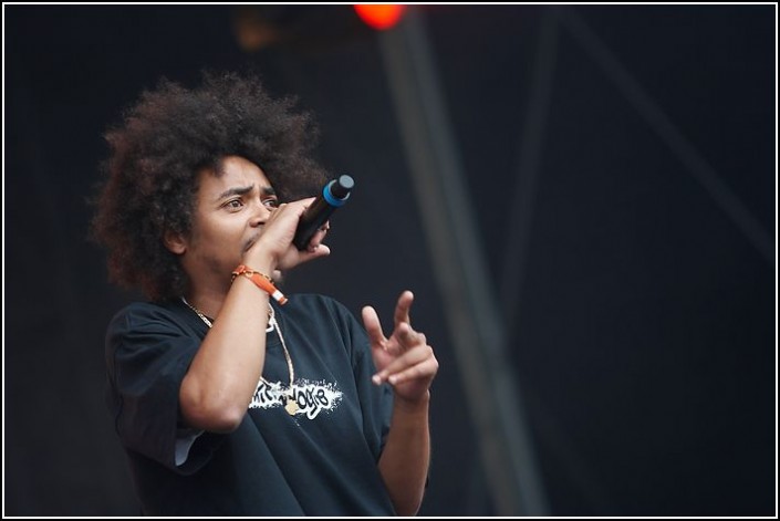 Micronologie &#8211; Festival des Vieilles Charrues 2009