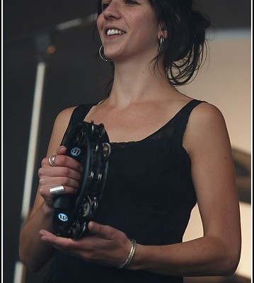 The bird is yellow &#8211; Festival des Vieilles Charrues 2009