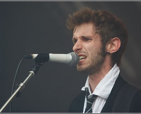 The bird is yellow &#8211; Festival des Vieilles Charrues 2009