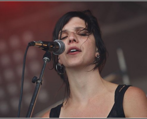 The bird is yellow &#8211; Festival des Vieilles Charrues 2009