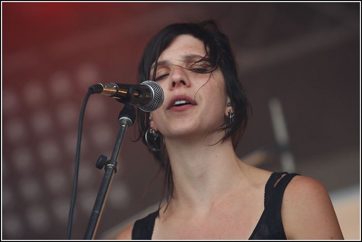 The bird is yellow &#8211; Festival des Vieilles Charrues 2009