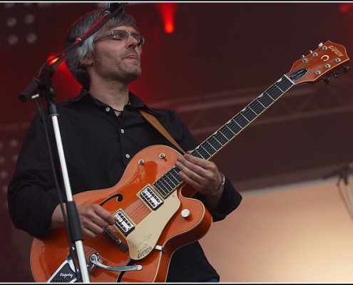 The bird is yellow &#8211; Festival des Vieilles Charrues 2009