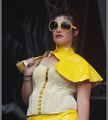 The bird is yellow &#8211; Festival des Vieilles Charrues 2009