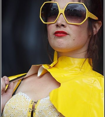 The bird is yellow &#8211; Festival des Vieilles Charrues 2009