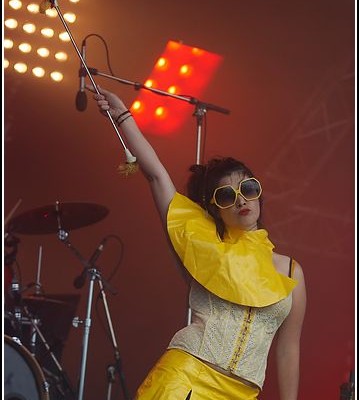 The bird is yellow &#8211; Festival des Vieilles Charrues 2009