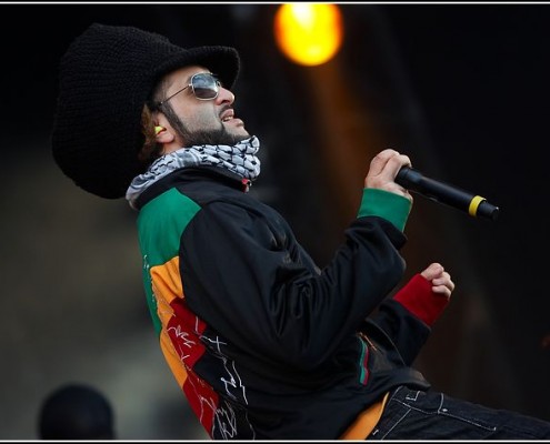 Alborosie &#8211; Festival des Vieilles Charrues 2009