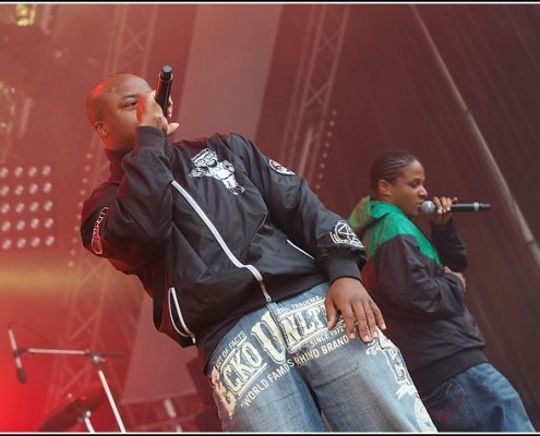 Langle mort &#8211; Festival des Vieilles Charrues 2009