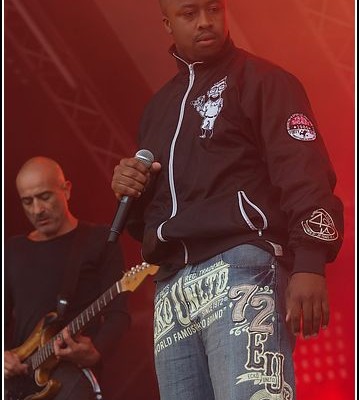 Langle mort &#8211; Festival des Vieilles Charrues 2009