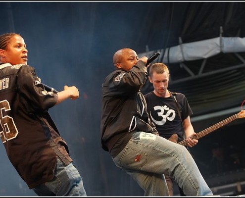 Langle mort &#8211; Festival des Vieilles Charrues 2009