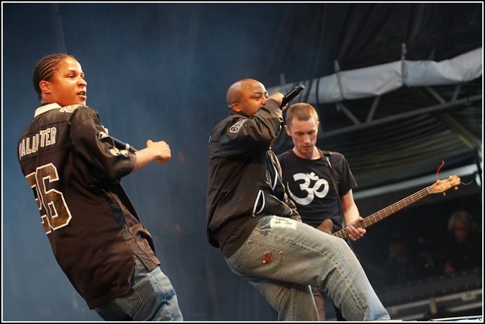 Langle mort &#8211; Festival des Vieilles Charrues 2009