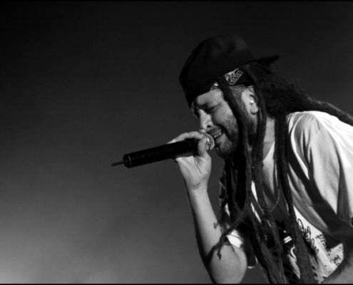 Alborosie &#8211; Aeronef (Lille)