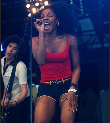 The Go Team &#8211; Festival Art Rock 2010