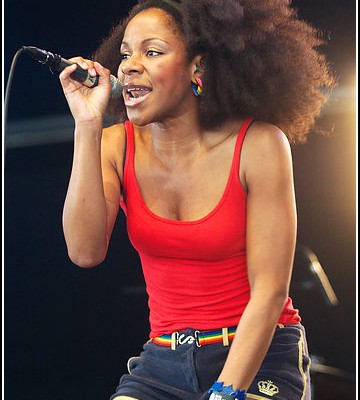 The Go Team &#8211; Festival Art Rock 2010