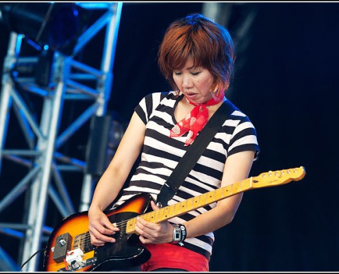 The Go Team &#8211; Festival Art Rock 2010