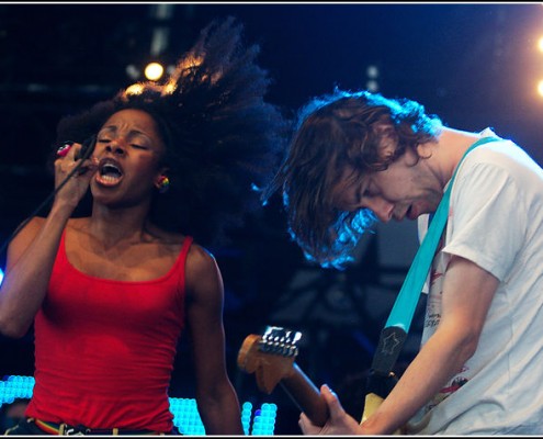 The Go Team &#8211; Festival Art Rock 2010