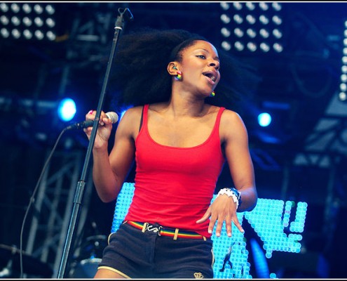 The Go Team &#8211; Festival Art Rock 2010