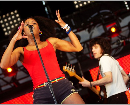 The Go Team &#8211; Festival Art Rock 2010