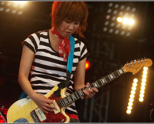 The Go Team &#8211; Festival Art Rock 2010