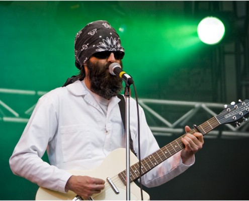 Eels &#8211; Rock en Seine 2010 (Paris)