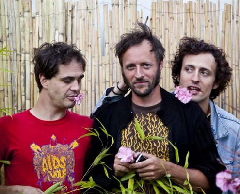 Feeling of Love &#8211; portraits-Festival Rock en Seine 2011 (Paris)