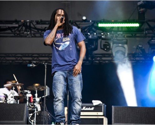 The Streets &#8211; Festival Rock en Seine 2011 (Paris)