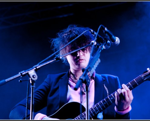 Pete Doherty &#8211; We love green 2011 (Paris)