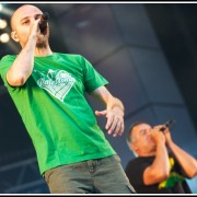 Amadou et Mariam &#8211; Festival Les Vieilles Charrues 2012