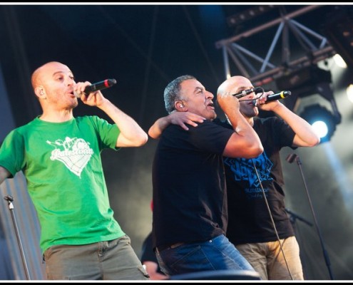 Zebda &#8211; Festival Les Vieilles Charrues 2012