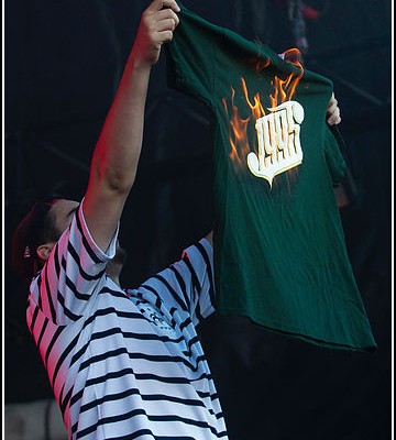 1995 &#8211; Festival Les Vieilles Charrues 2012