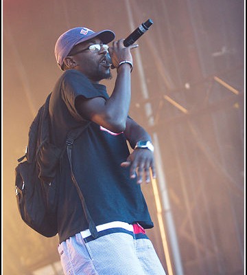 1995 &#8211; Festival Les Vieilles Charrues 2012