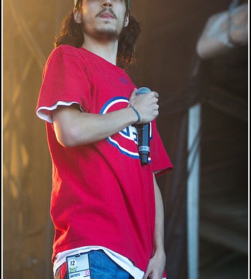 1995 &#8211; Festival Les Vieilles Charrues 2012