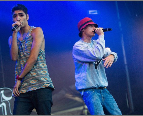 1995 &#8211; Festival Les Vieilles Charrues 2012