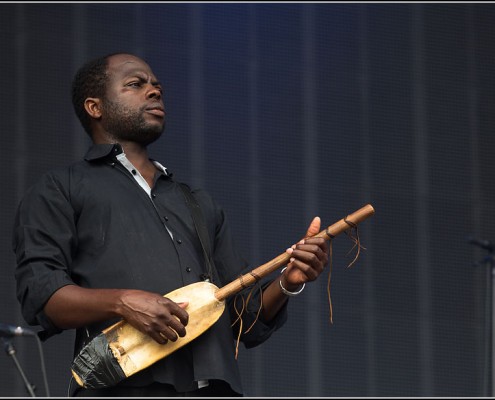 Rokia Traore &#8211; Festival des Vieilles Charrues 2013