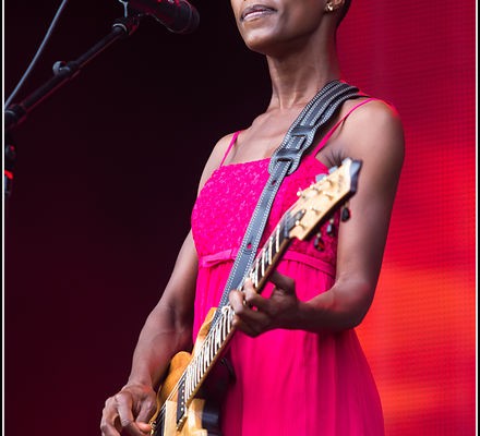 Rokia Traore &#8211; Festival des Vieilles Charrues 2013