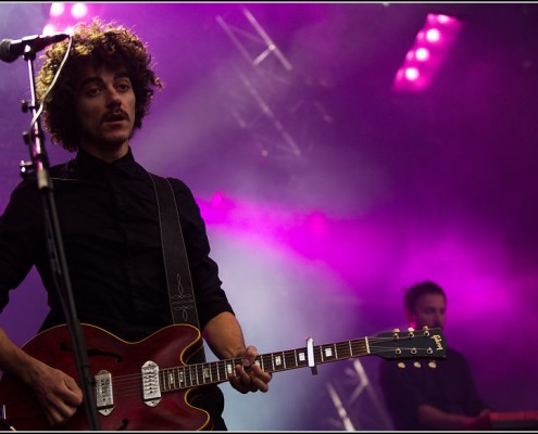 Lescop &#8211; Festival des Vieilles Charrues 2013