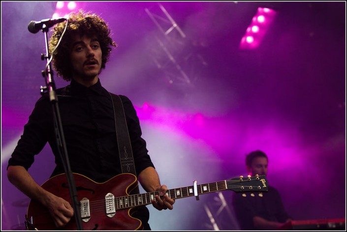 Lescop &#8211; Festival des Vieilles Charrues 2013